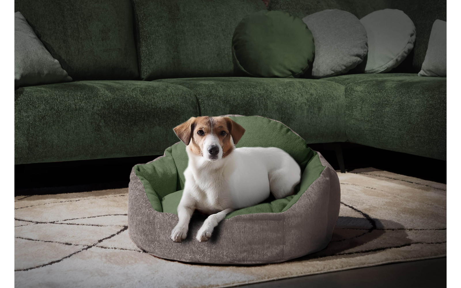 Hundebett & Katzenbett 70x55 cm Beige-Grün | Modell Mickey | Wozimo