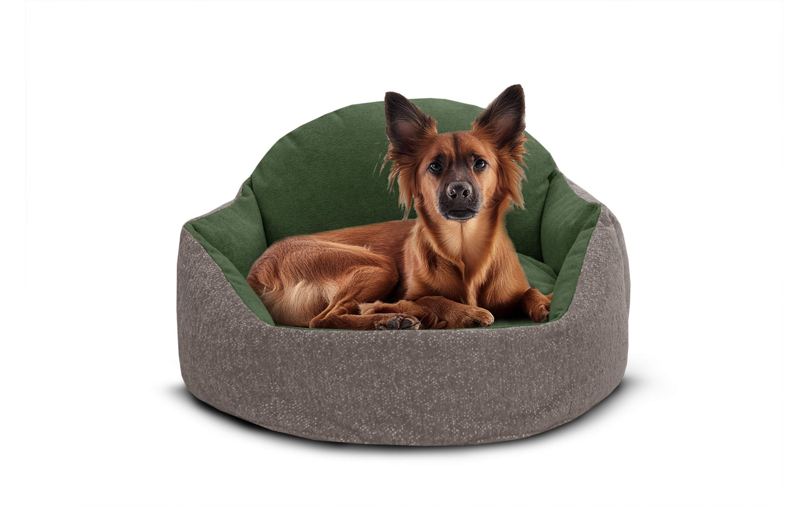 Hundebett & Katzenbett 70x55 cm Beige-Grün | Modell Mickey | Wozimo