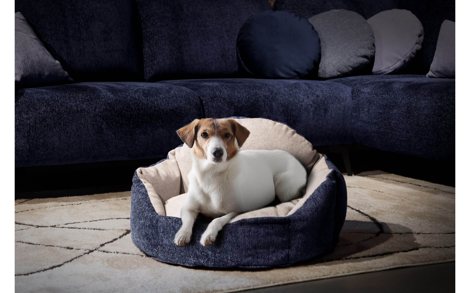 Tierbett Mickey 70x55 cm blau-hellgrau | Wozimo