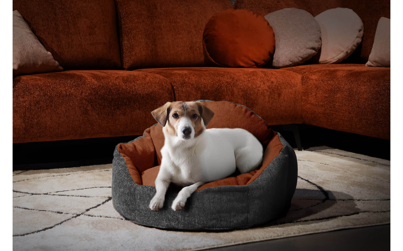Hundebett & Katzenbett 70x55 cm Grau-Rot | Modell Mickey | Wozimo