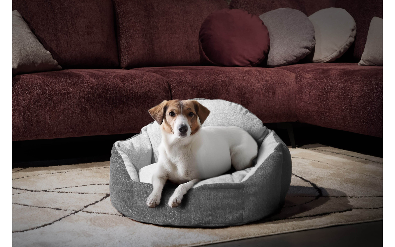 Hundebett & Katzenbett 70x55 cm Grau | Modell Mickey | Wozimo