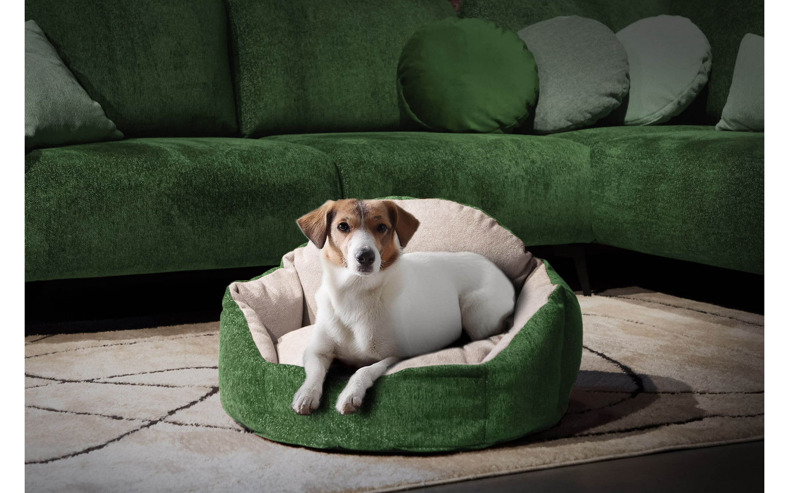 Hundebett / Katzenbett 70 x 55 cm grün + hellgrau MICKEY