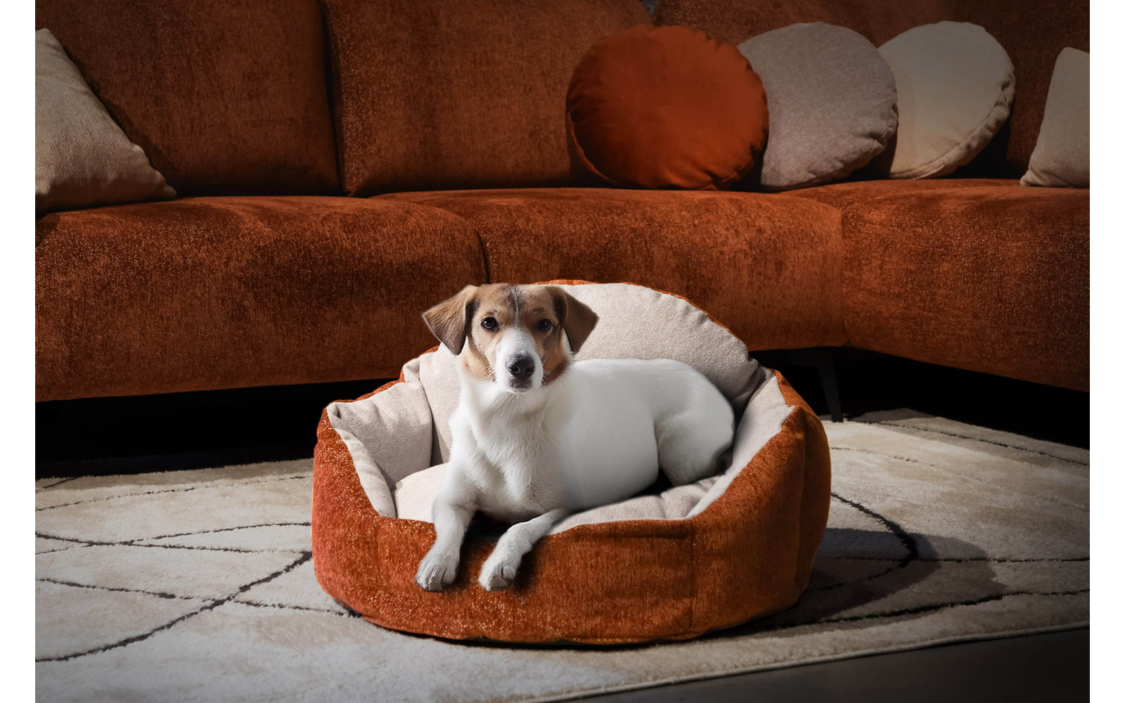 Hundebett & Katzenbett 70x55 cm Orange-Grau | Modell Mickey | Wozimo