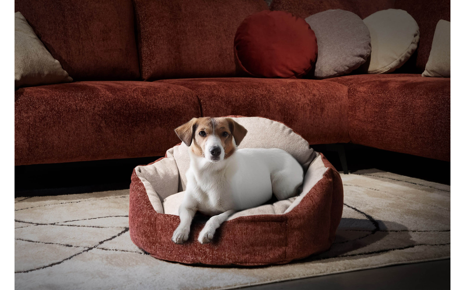 Hundebett & Katzenbett 70x55 cm Rot-Grau | Modell Mickey | Wozimo