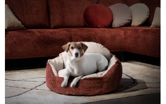 Hundebett / Katzenbett 70 x 55 cm rot + hellgrau MICKEY