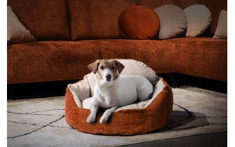 Hundebett / Katzenbett 70 x 55 cm orange + hellgrau MICKEY