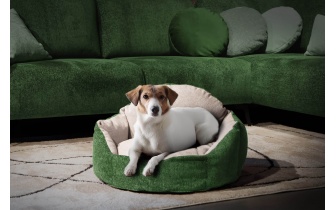 Hundebett / Katzenbett 70 x 55 cm grün + hellgrau MICKEY