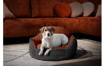 Hundebett / Katzenbett 70 x 55 cm dunkelgrau + rot MICKEY