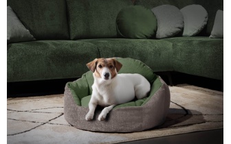 Hundebett / Katzenbett 70 x 55 cm beige + grün MICKEY