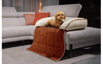 Hundebett / Katzenbett 100 x 120 cm orange + hellbeige DINA