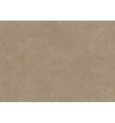 Stoffmuster Dakota 1 in Farbe: beige