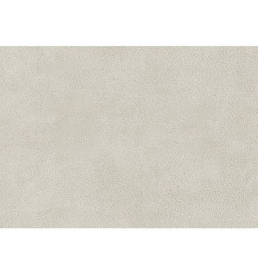 Stoffmuster Dakota 5 in Farbe: ecru