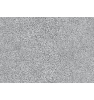 Stoffmuster Dakota 6 in Farbe: grau