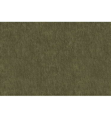 Stoffmuster Lumo 38 in Farbe: olive